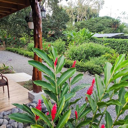 Arenal Sweet Cabins La Fortuna Exteriör bild
